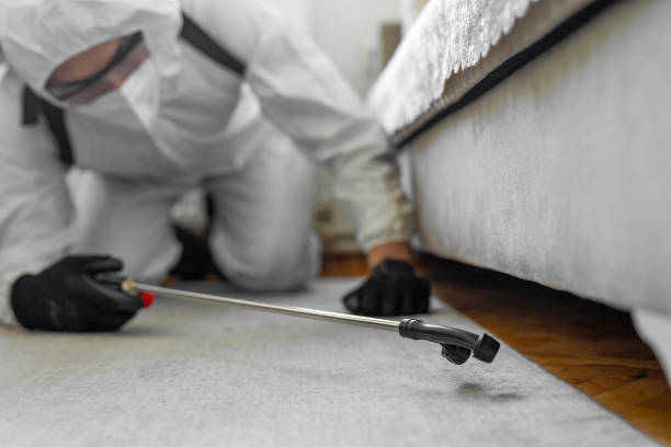 Professional Termite Control technician working in Benld, IL