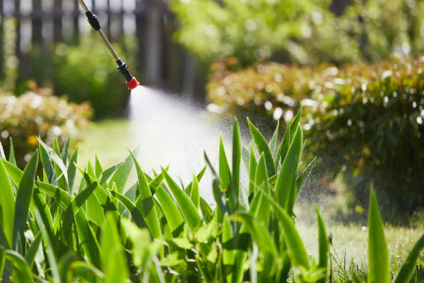 24/7 Emergency Termite Control experts in Benld, IL